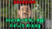 Kerala HC Denies Bail For Actor Dileep | Oneindia Malayalam