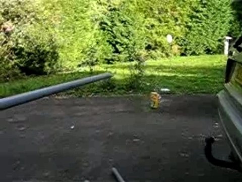 un autre tir avec mon patator