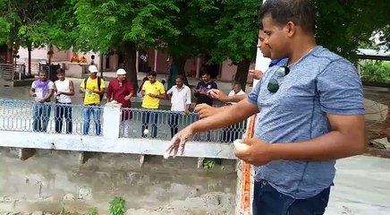 Mysterious huge Fishes in lake