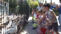 Mini Hayvanat Bahçesi, Sahipsiz ve Bakıma Muhtaç Hayvanlara Yuva Oldu