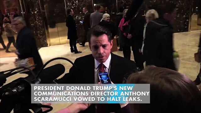 Anthony Scaramucci pledges to end 'un-American' leaks