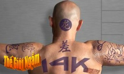 [Hội Tam Hoàng - P11]. 14K - Băng đảng hùng hậu nhất trong Hội Tam Hoàng