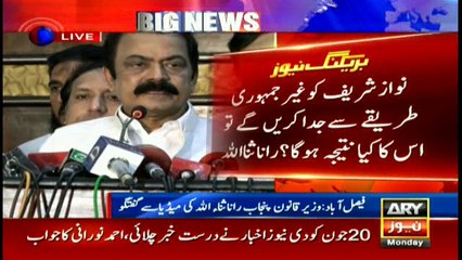 Some foreign elements want to destabilize the country: Rana Sanaullah