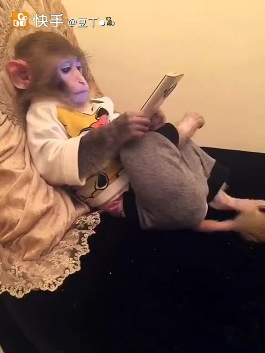 Playing Monkey!