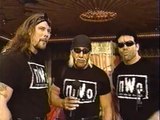 nWo (Hollywood Hogan, Scott Hall & Kevin Nash) at CableACE Awards [November 1996]