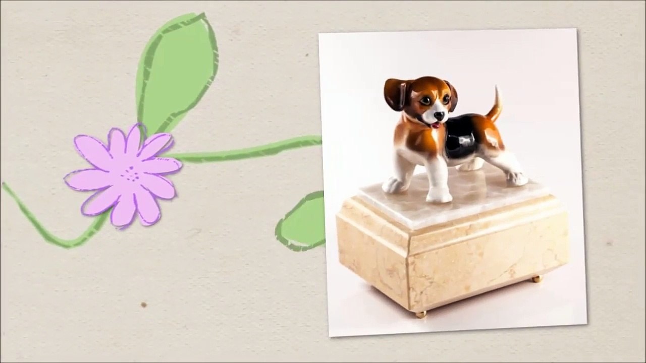 Urne per Animali - urne per cani e gatti - aSilvy.it