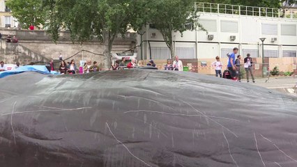 Scoop... une baleine échouée en plein Paris
