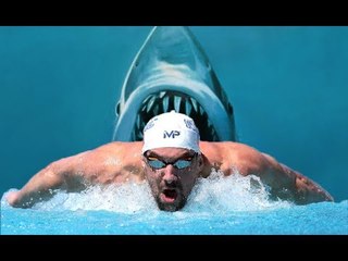 Quand Michael Phelps affronte un requin