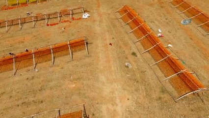 Sıcak Hava En Çok Onların Yüzünü Güldürüyor