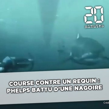 Course contre un requin: Phelps battu d'une nageoire