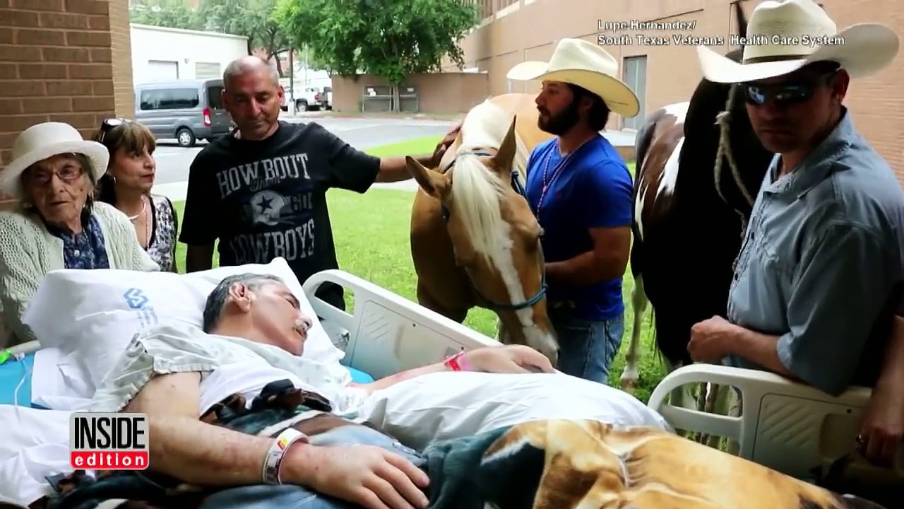 Horse Visits Dying Vietnam Veteran Owner For Heartfelt Goodbye