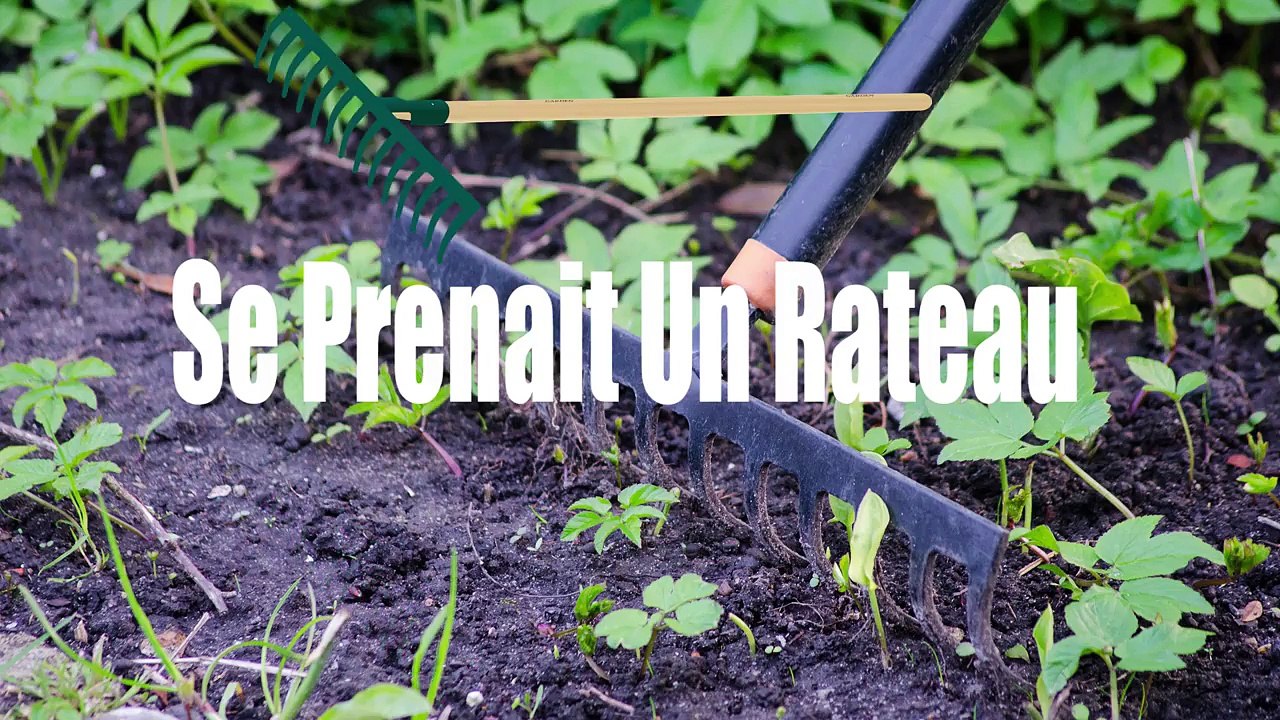 Imagine Si Satine .. 2 // Satine Walle