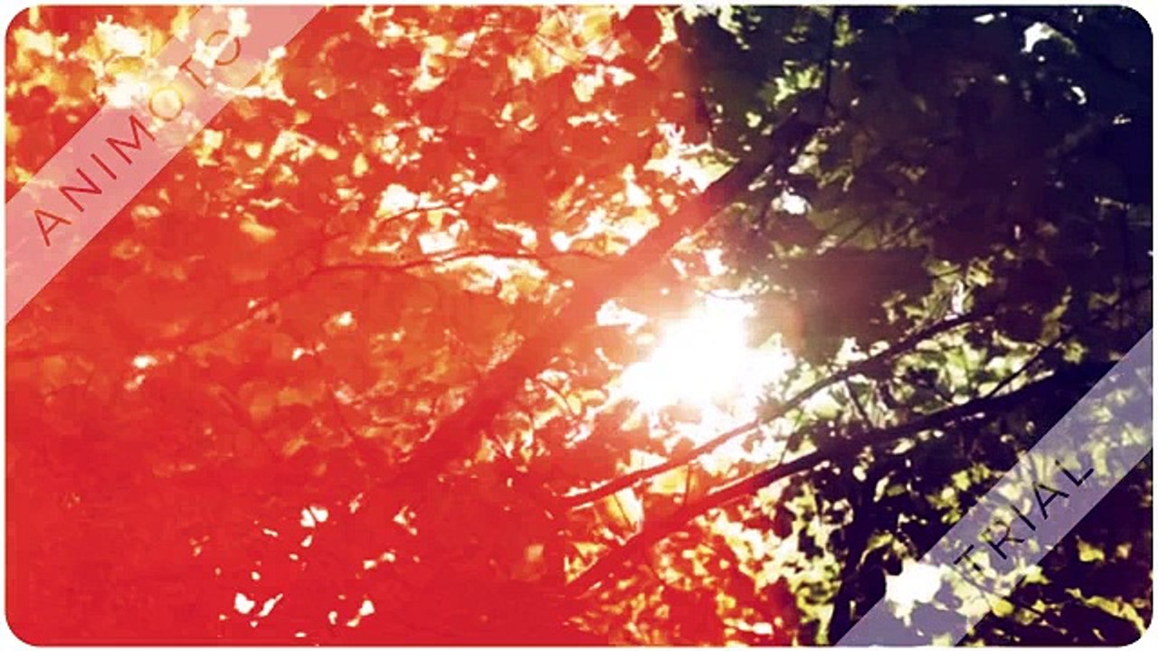 Paysages de l'Algérie