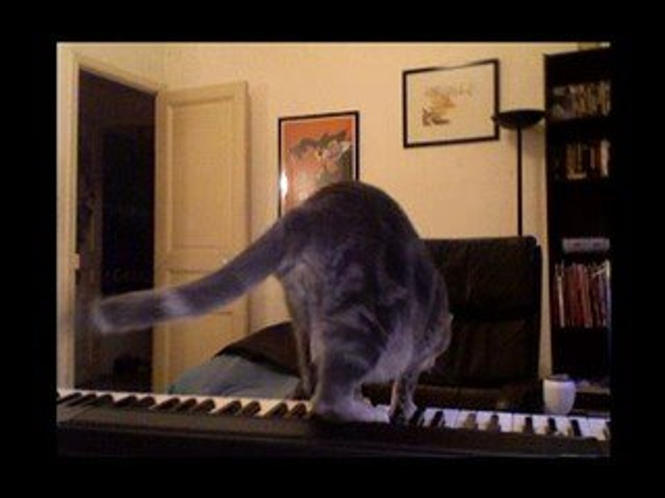 Le Blog video de Luciano: Le Piano 3