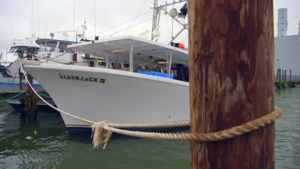 ✅  Família Busca Peixe ☆ 1ª Temp.- Epis.1 ☆ O Rei do Golfo.