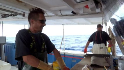 ✅ Família Busca Peixe ☆ 1ª Temp.- Epis.8 ☆ Marinheiro Doente.