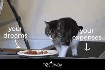 Dont let brokerage expenses eat into your wishlist