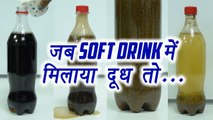 Cold Drink में मिलाया दूध, Result देंगे चौंका; Watch Video | Boldsky