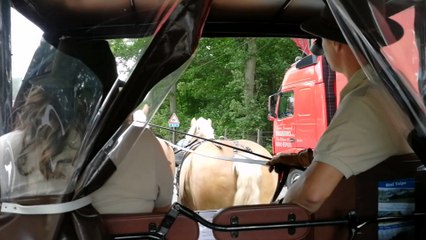 Un dimanche en calèche à Ploegsteert