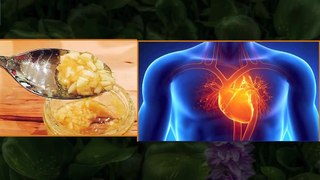 Health Benefits of Garlic & Honey