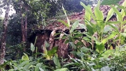 Gia đình kỳ lạ sống tách biệt với XH đã 20 năm luôn có lính canh cửa và cs lạ đời