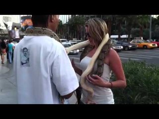 On the streets of vegas