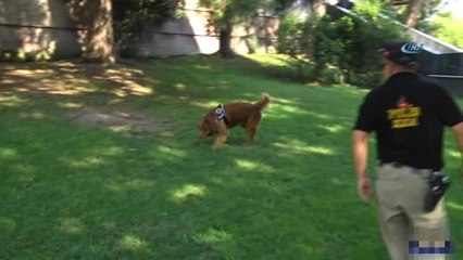 Kocaeli'de "Huzurlu Parklar" Uygulaması