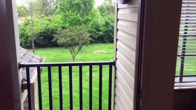 St. Louis Corporate Housing, Vanderbilt Apartments 1 Bedroom