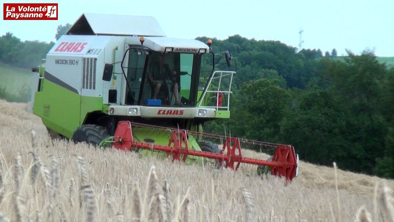 CUMA de Castanet : une moissonneuse-batteuse
