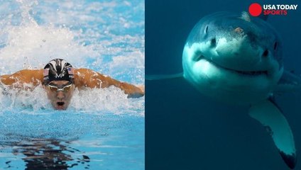 Michael Phelps races fake shark and Twitter wasn't having it