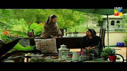Mohabbat Ab Nahi Hogi Episode 12 Part 1 Hum TV Drama-Dailymotion