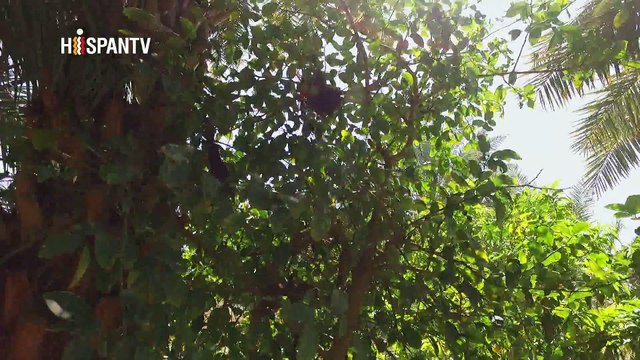 Irán - Chabahar – Sistán y Baluchistán