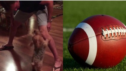 Ce chien se retrouve à la place d'un Ballon!!