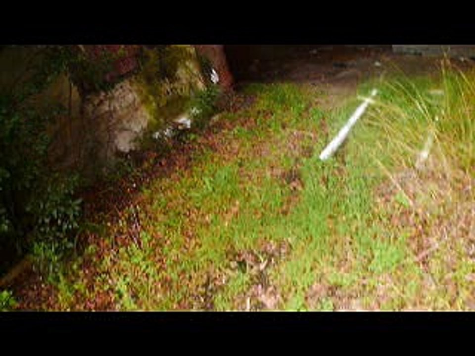 URBEX A LA DÉCOUVERTE D'UN MAS
