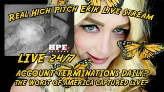 Real High Pitch Erik Live Stream 24/7