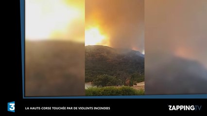 Corse : De violents incendies ravagent le nord du département (Vidéo)