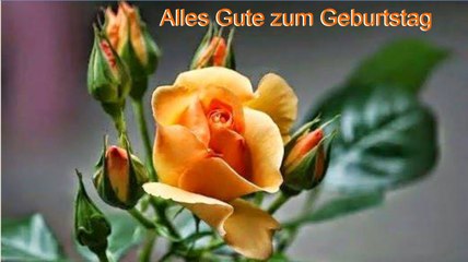Alles Gute zum Geburtstag