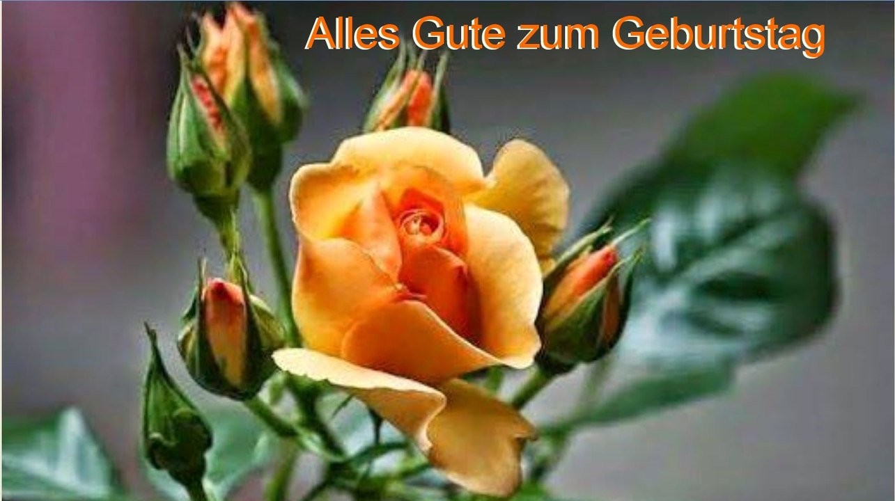 Alles Gute zum Geburtstag