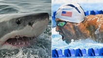 'Phelps vs. Shark' was simulated. Here are 4 times humans actually raced animals.