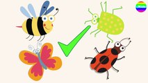 むしむしくん アニメ パズル ❤ かわいい昆虫 パズル ❤ 子供向けアニメ ❤ 赤ちゃん喜ぶ ❤ パート1 ❤ Insects Puzzle for kids #1
