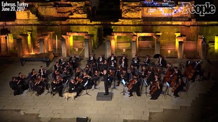 A good dog decided to take a break in the middle of an orchestra performance to the delight of everyone