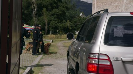 Colombia pacta alto el fuego con ELN, última guerrilla del país