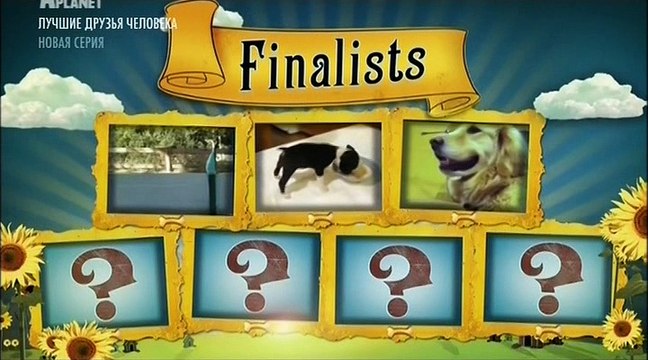 5. Самые милые в мире