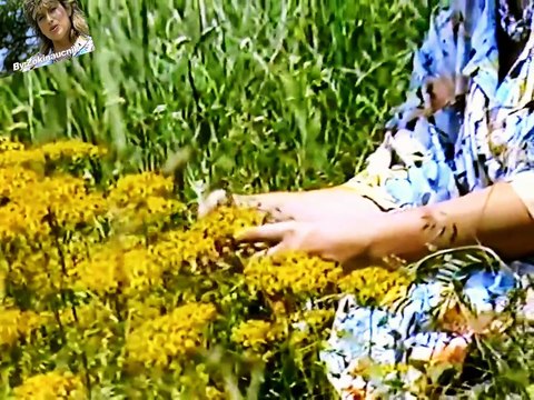 Biljana Jevtic - Evo ti srce na dlanu(Official video...) 1985