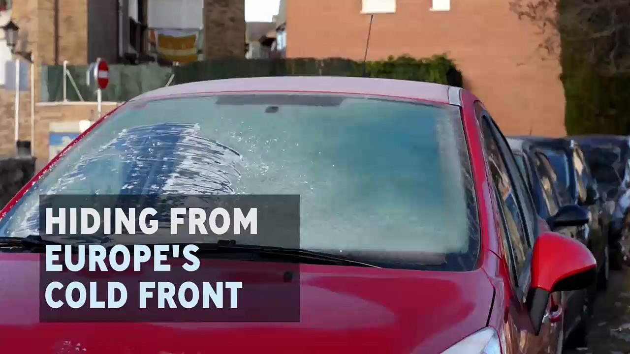Freezing cold cats may be hiding under your car