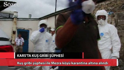 Kars’ta kuş gribi şüphesi
