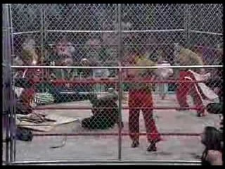 TNA: CANADA ANNIHILATES TEAM 3D IN THE CAGE