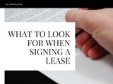 Tal Rappleyea's Advice About What to Look For Before Signing a Lease