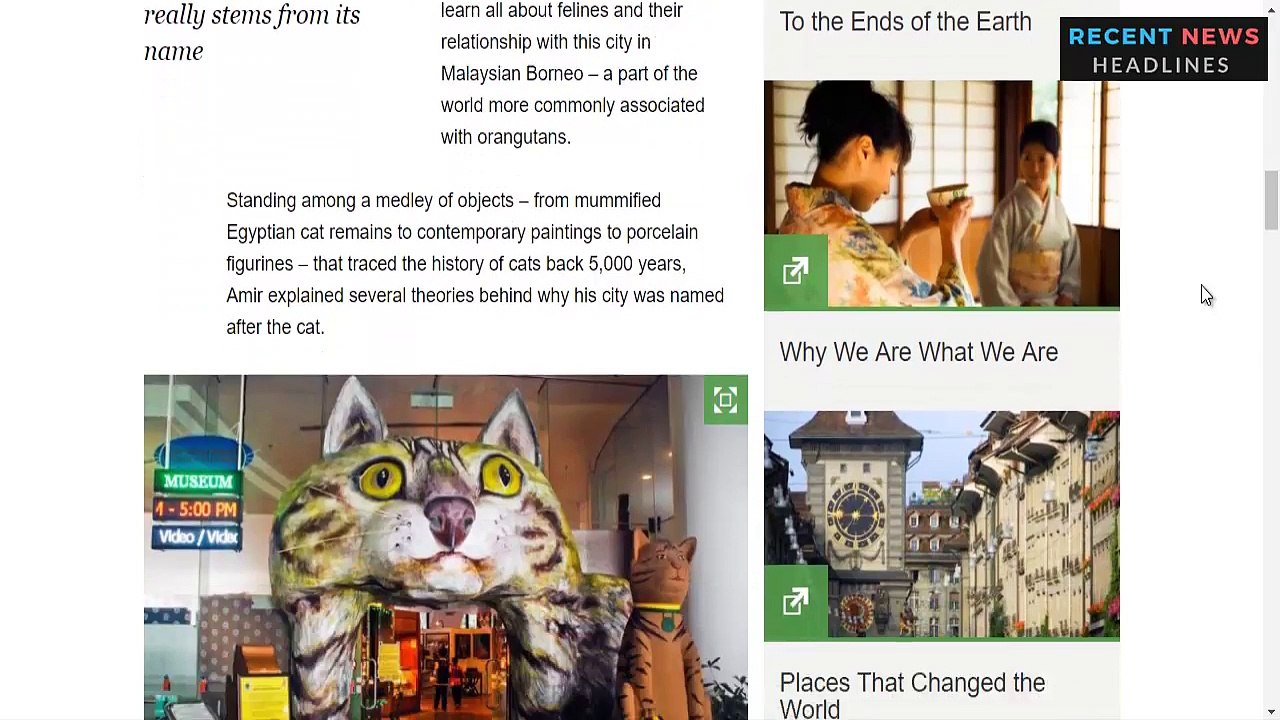 The Asian City Obsessed with Cats