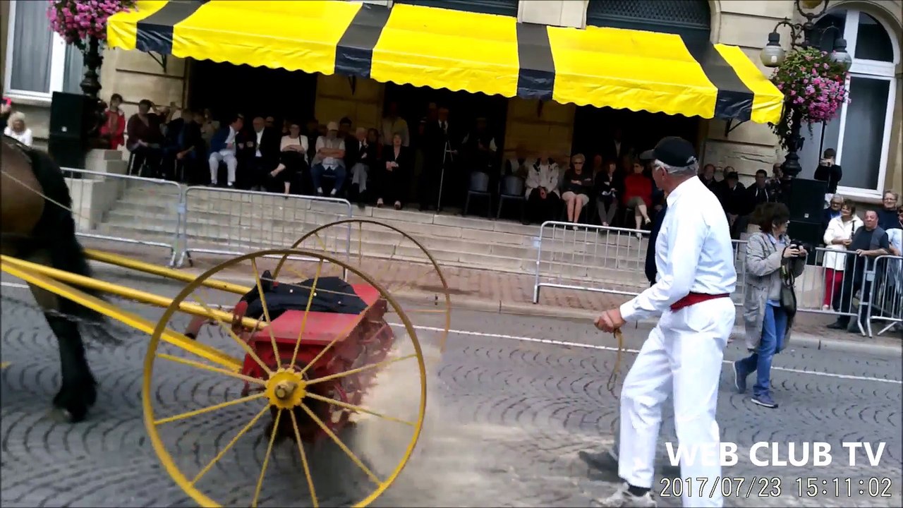 Cambrai 114 ème concours femelles  trait du nord  2017